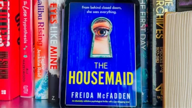 The Housemaid Summary: Intrigue, Suspense & Secrets Revealed